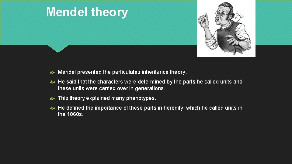 Mendel theory Mendel presented the particulates inheritance theory. He said that the characters were