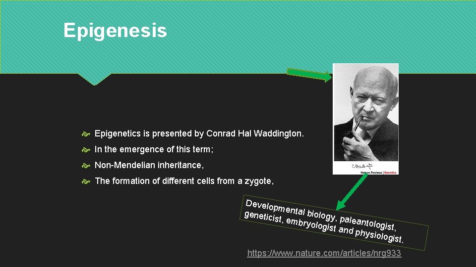 Epigenesis Epigenetics is presented by Conrad Hal Waddington. In the emergence of this term;