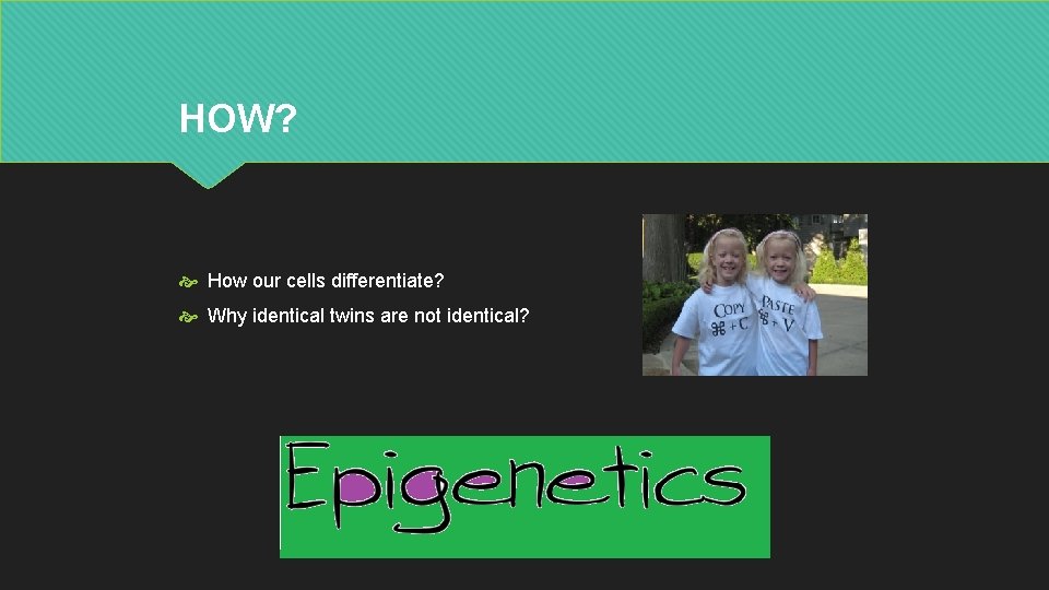 HOW? How our cells differentiate? Why identical twins are not identical? 