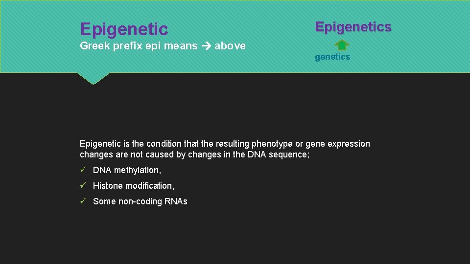 Epigenetic Greek prefix epi means above Epigenetics Epigenetic is the condition that the resulting