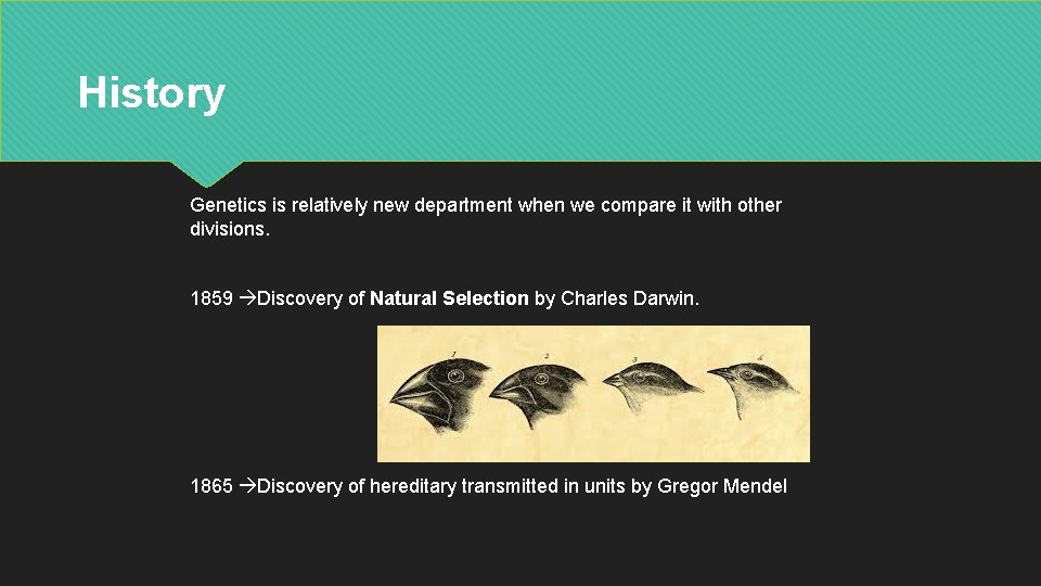 History Genetics is relatively new department when we compare it with other divisions. 1859