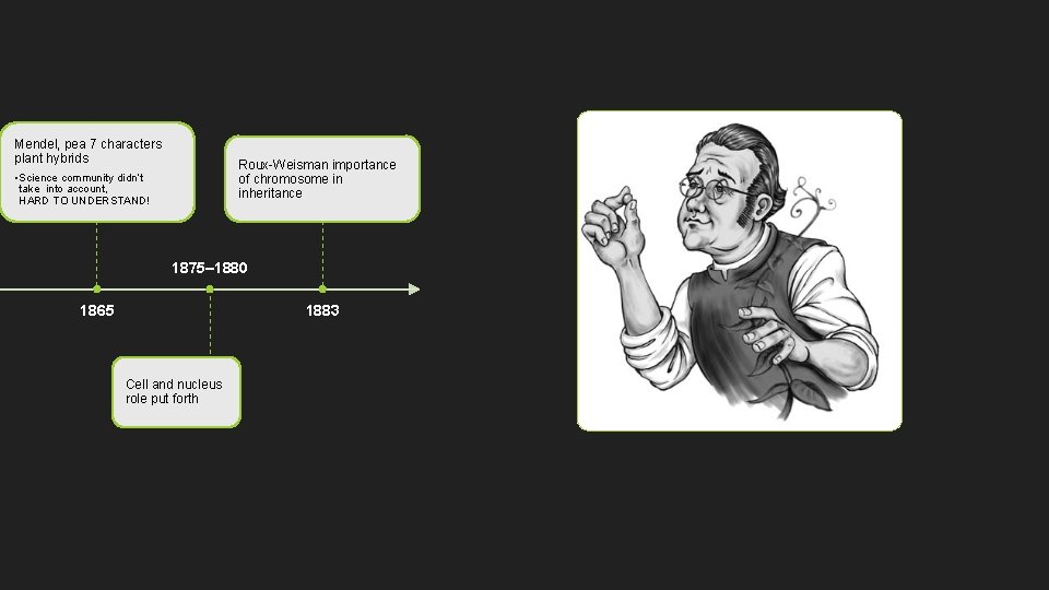 Mendel, pea 7 characters plant hybrids Roux-Weisman importance of chromosome in inheritance • Science