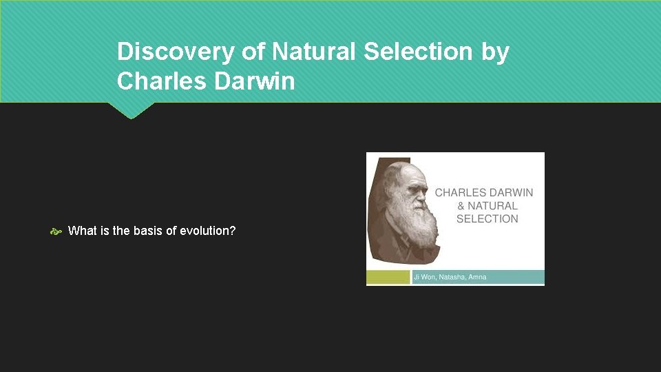 Discovery of Natural Selection by Charles Darwin What is the basis of evolution? 