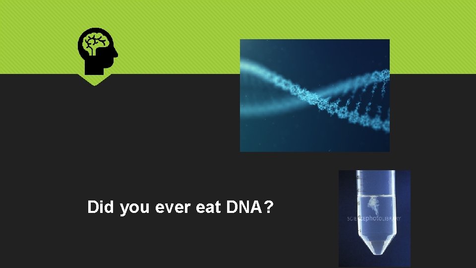 Did you ever eat DNA? 