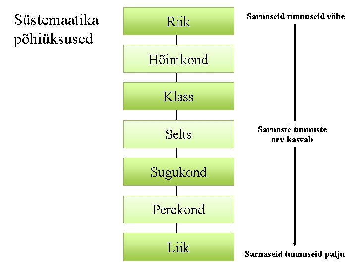 Süstemaatika põhiüksused Riik Sarnaseid tunnuseid vähe Hõimkond Klass Selts Sarnaste tunnuste arv kasvab Sugukond