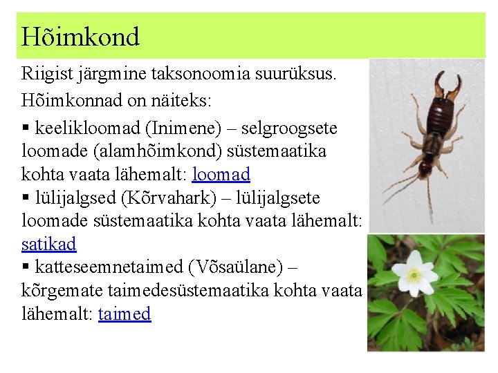 Hõimkond Riigist järgmine taksonoomia suurüksus. Hõimkonnad on näiteks: § keelikloomad (Inimene) – selgroogsete loomade