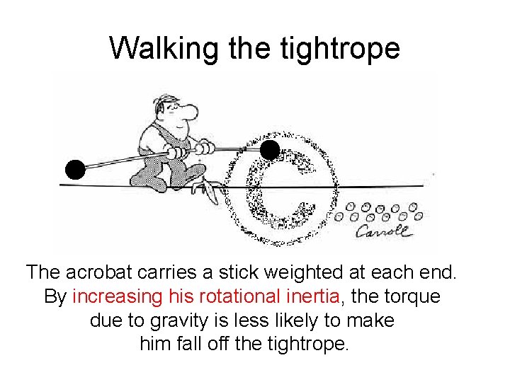 Walking the tightrope The acrobat carries a stick weighted at each end. By increasing