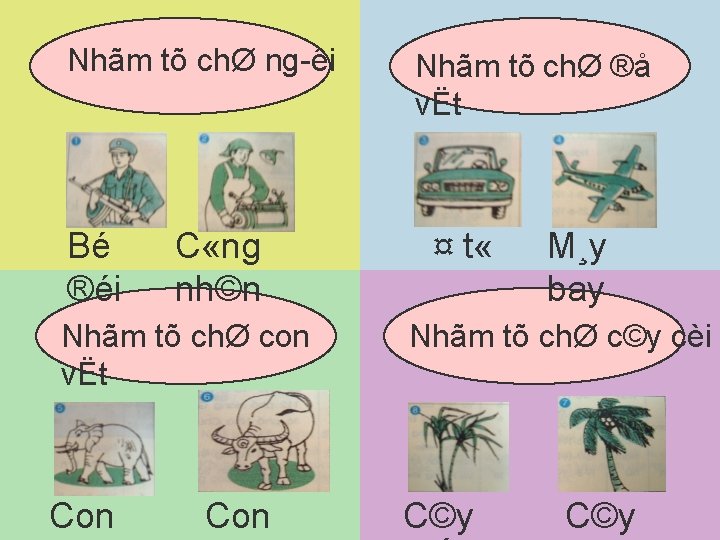 Nhãm tõ chØ ng êi Bé ®éi C «ng nh©n Nhãm tõ chØ con