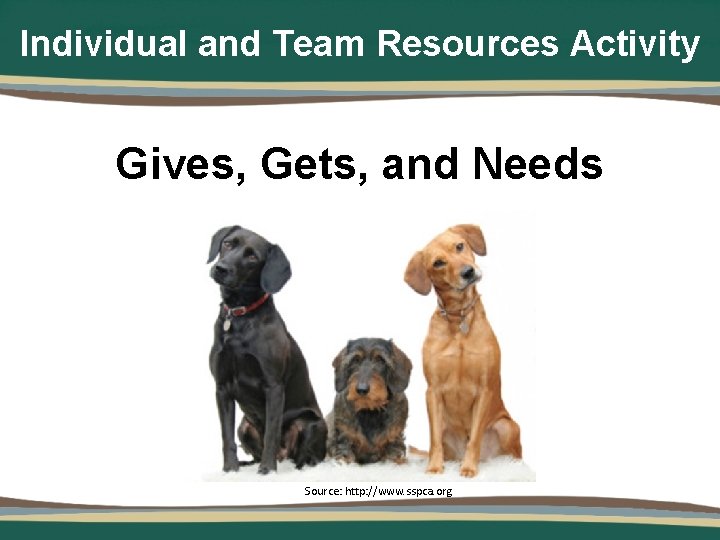 Individual and Team Resources Activity Gives, Gets, and Needs Source: http: //www. sspca. org