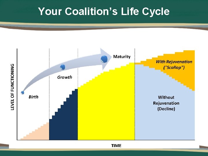 Your Coalition’s Life Cycle 