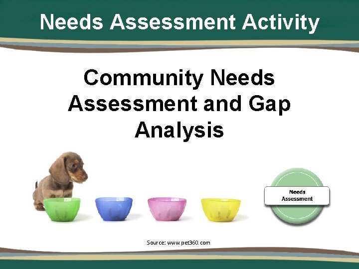 Needs Assessment Activity Community Needs Assessment and Gap Analysis Source: www. pet 360. com