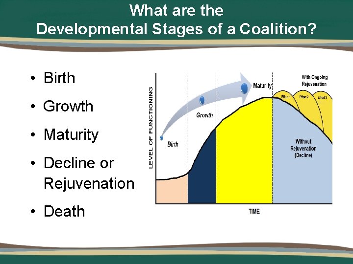 What are the Developmental Stages of a Coalition? • Birth • Growth • Maturity