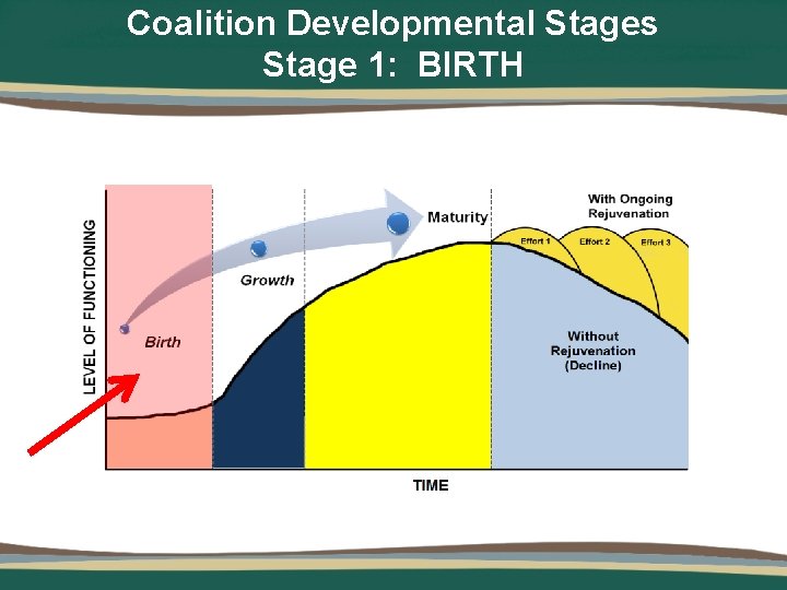 Coalition Developmental Stages Stage 1: BIRTH 