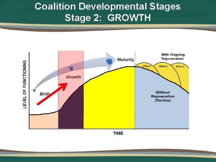 Coalition Developmental Stages Stage 2: GROWTH 