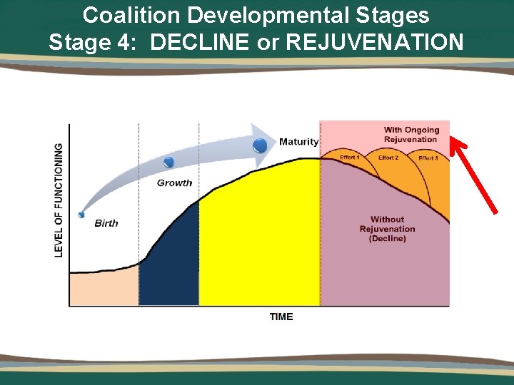 Coalition Developmental Stages Stage 4: DECLINE or REJUVENATION 