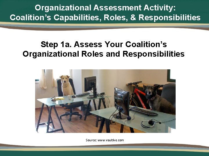 Organizational Assessment Activity: Coalition’s Capabilities, Roles, & Responsibilities Step 1 a. Assess Your Coalition’s