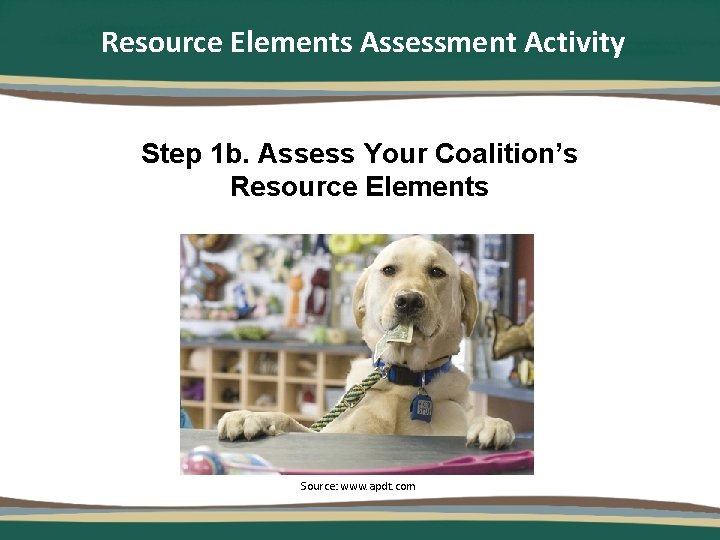 Resource Elements Assessment Activity Step 1 b. Assess Your Coalition’s Resource Elements Source: www.