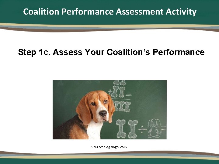 Coalition Performance Assessment Activity Step 1 c. Assess Your Coalition’s Performance Source: blog. dogtv.