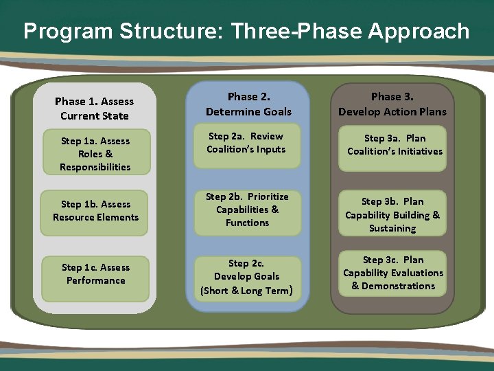 Program Structure: Three-Phase Approach Phase 1. Assess Current State Phase 2. Determine Goals Phase