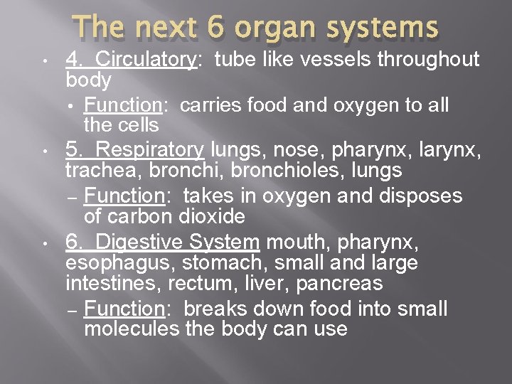  • • • The next 6 organ systems 4. Circulatory: tube like vessels