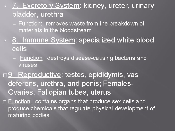  • 7. Excretory System: kidney, ureter, urinary bladder, urethra – • Function: removes