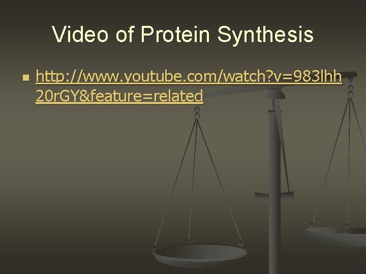 Video of Protein Synthesis n http: //www. youtube. com/watch? v=983 lhh 20 r. GY&feature=related