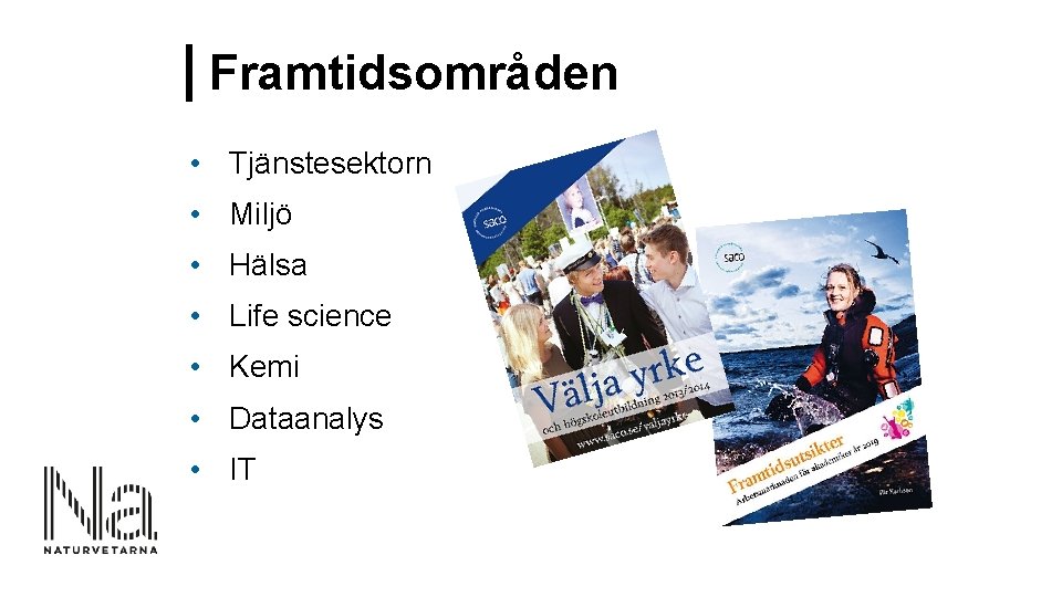 Framtidsområden • Tjänstesektorn • Miljö • Hälsa • Life science • Kemi • Dataanalys