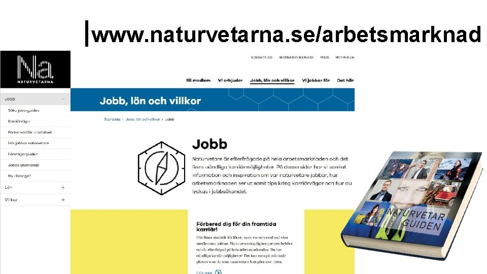 www. naturvetarna. se/arbetsmarknad 