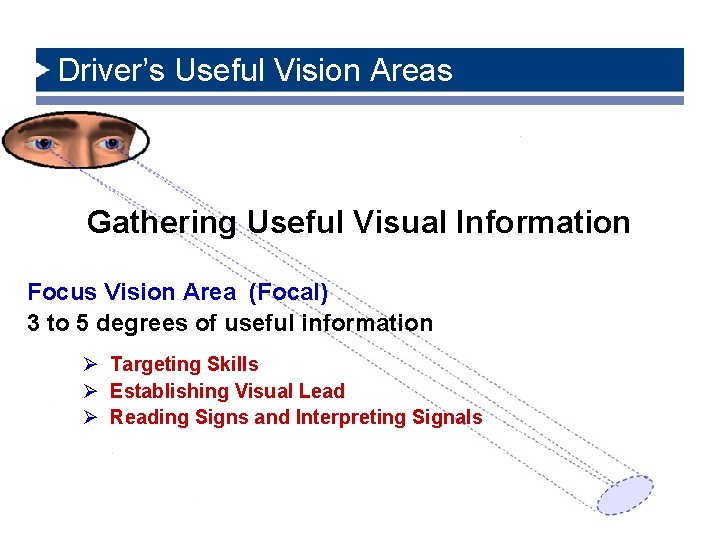 Driver’s Useful Vision Areas Gathering Useful Visual Information Focus Vision Area (Focal) 3 to