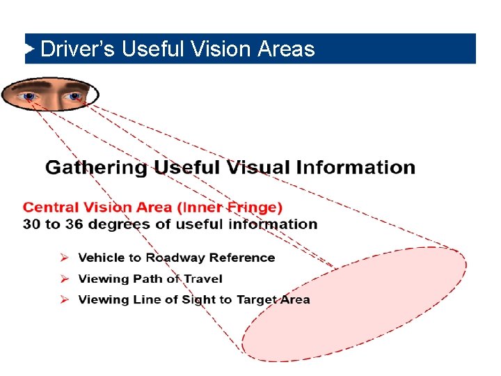 Driver’s Useful Vision Areas 6/8/2021 12 