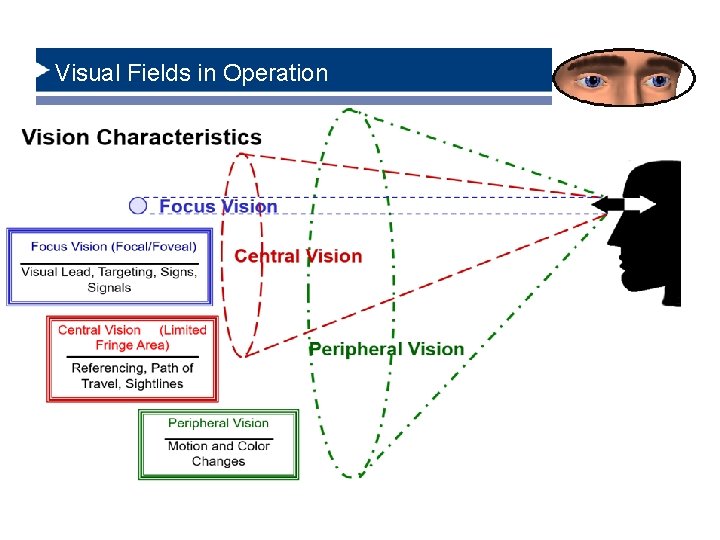 Visual Fields in Operation 6/8/2021 14 