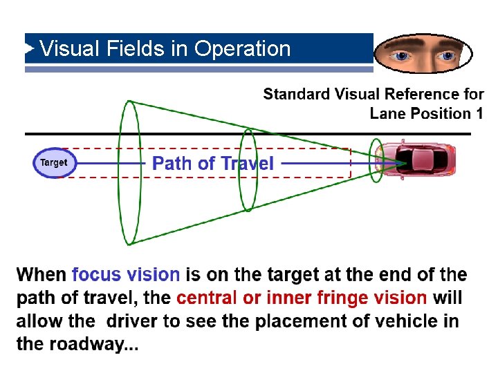 Visual Fields in Operation 6/8/2021 15 