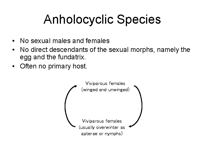 Anholocyclic Species • No sexual males and females • No direct descendants of the