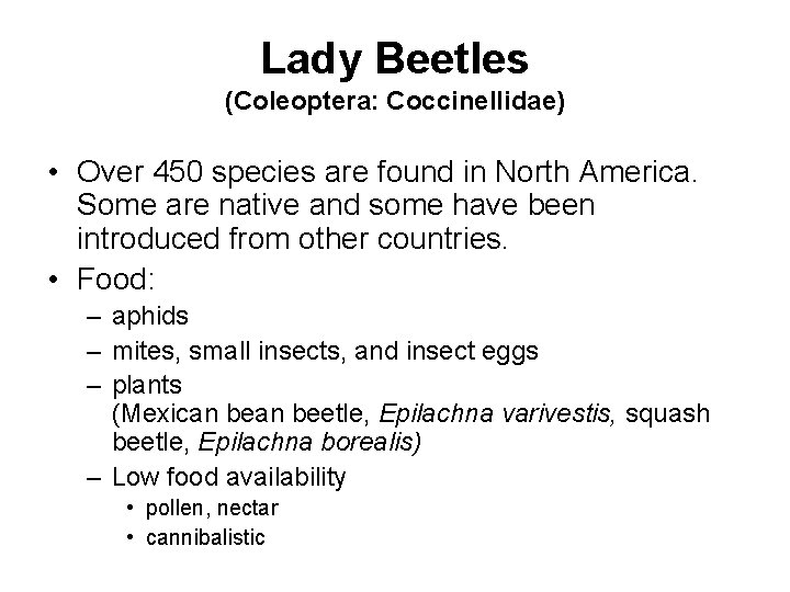 Lady Beetles (Coleoptera: Coccinellidae) • Over 450 species are found in North America. Some