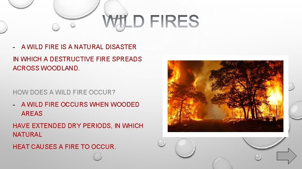 - A WILD FIRE IS A NATURAL DISASTER IN WHICH A DESTRUCTIVE FIRE SPREADS