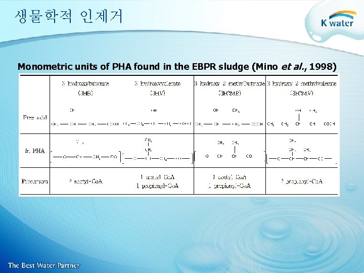 생물학적 인제거 Monometric units of PHA found in the EBPR sludge (Mino et al.