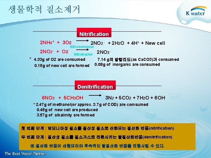 생물학적 질소제거 Nitrification 2 NH 4+ + 3 O 2 2 NO 2 -
