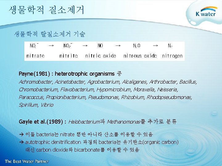 생물학적 질소제거 생물학적 탈질소제거 기술 Payne(1981) : heterotrophic organisms 중 Achromobacter, Acinetobacter, Agrobacterium, Alcaligenes,