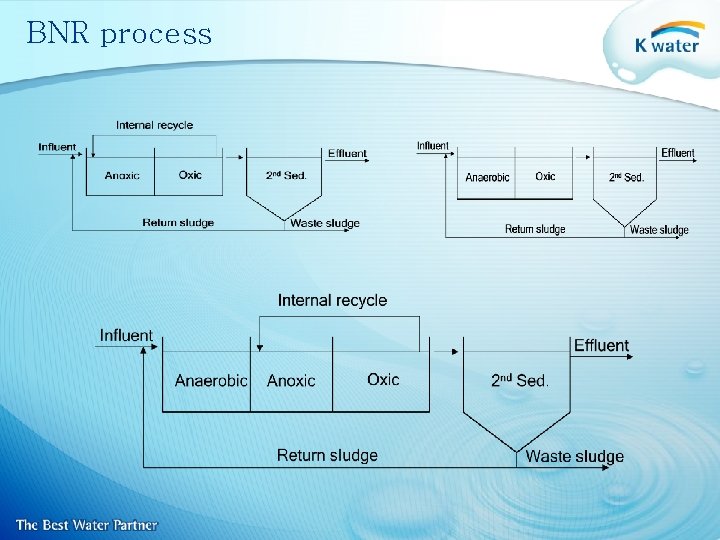 BNR process 