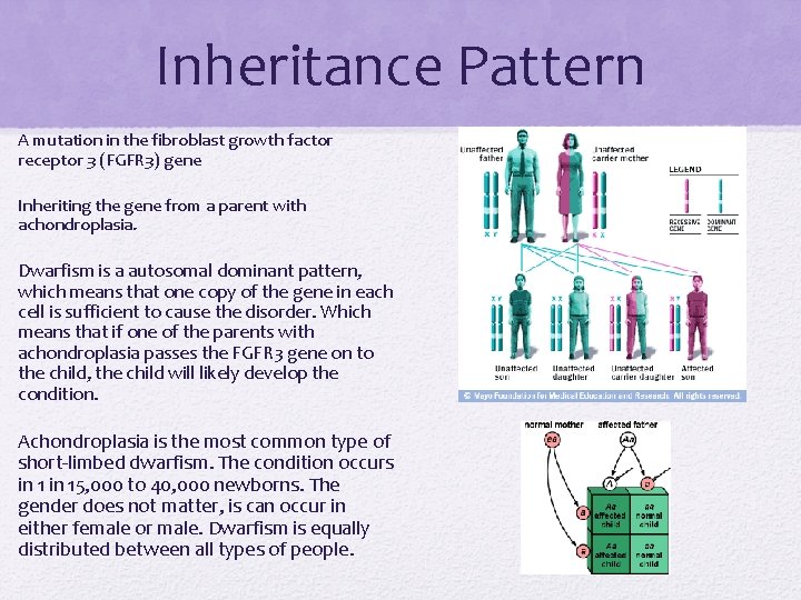 Inheritance Pattern A mutation in the fibroblast growth factor receptor 3 (FGFR 3) gene