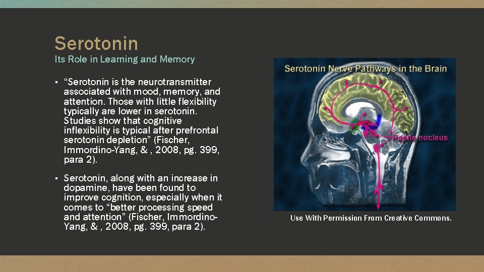 Serotonin Its Role in Learning and Memory ▪ “Serotonin is the neurotransmitter associated with