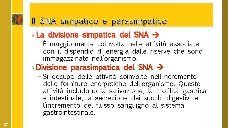 Il SNA simpatico e parasimpatico › La divisione simpatica del SNA – È maggiormente