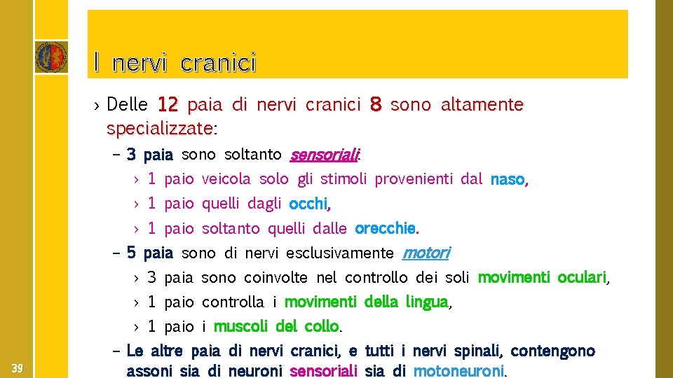 I nervi cranici › Delle 12 paia di nervi cranici 8 sono altamente specializzate: