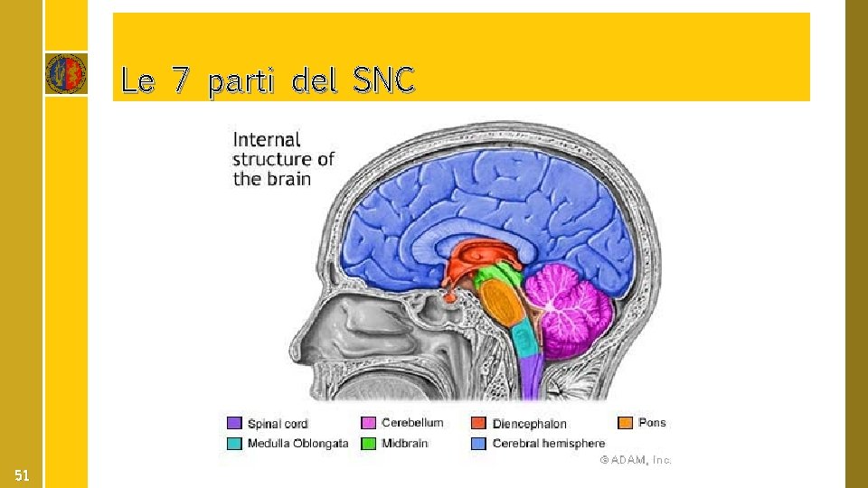 Le 7 parti del SNC 51 