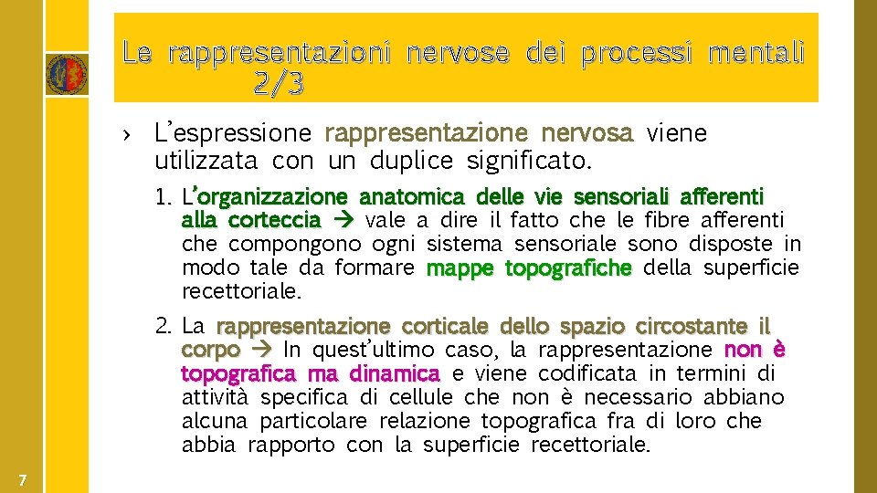 Le rappresentazioni nervose dei processi mentali 2/3 › L’espressione rappresentazione nervosa viene utilizzata con