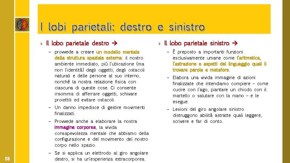 I lobi parietali: destro e sinistro › Il lobo parietale destro – provvede a