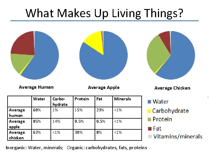 What Makes Up Living Things? Average Human Water Average human Average apple Average chicken