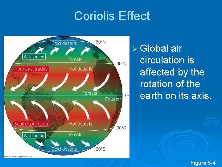 Coriolis Effect Ø Global air circulation is affected by the rotation of the earth