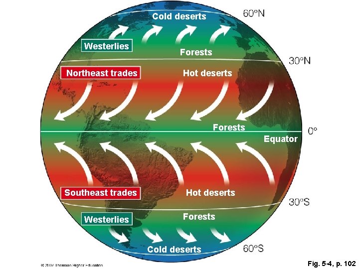 Cold deserts Westerlies Northeast trades Forests Hot deserts Forests Equator Southeast trades Westerlies Hot