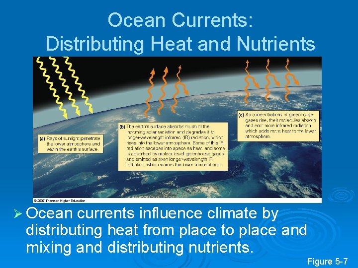 Ocean Currents: Distributing Heat and Nutrients Ø Ocean currents influence climate by distributing heat